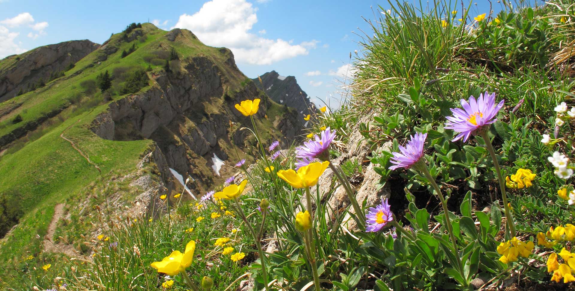 Wandern im Gsiesertal