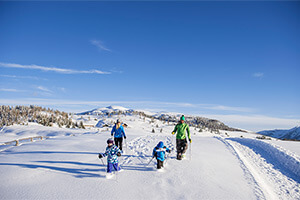 Snow shoes